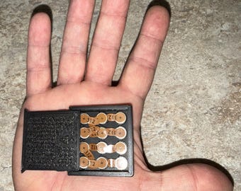 Custodia per batterie per apparecchi acustici misura 312 - The Hearing Vault - Contiene 12 batterie - Robusto supporto da viaggio tascabile