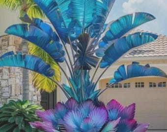 20 Hosta Seeds Elephant Ears Shade Garden Plant