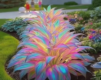 Rare Rainbow Hosta Seeds Multicolor Shade Perennial Plant