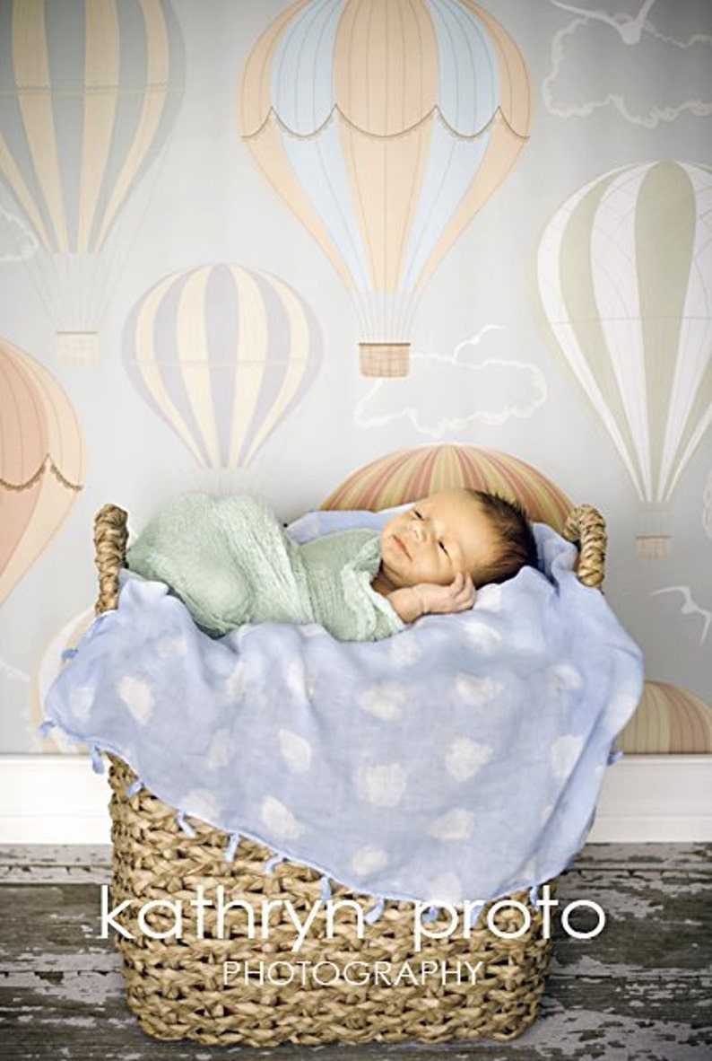 4ft X 4ft Vinyl Photography Backdrop Hot Air Balloon Wallpaper Etsy