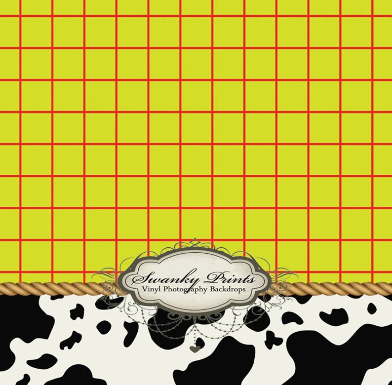 4ft x 4ft Vinyl Photography Backdrop / Toy Story Woody Etsy
