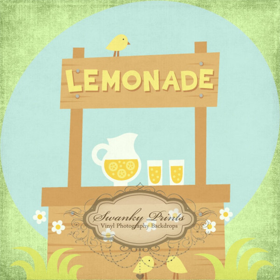 NEW 5ft X 5ft Lemonade Stand / Vinyl Photography Backdrop / - Etsy