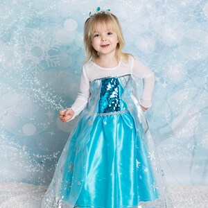 May include: A young girl wearing a blue and silver princess costume with a sparkly bodice and a sheer overlay. She is wearing a silver crown with green gems and has a light blue background with snowflakes.
