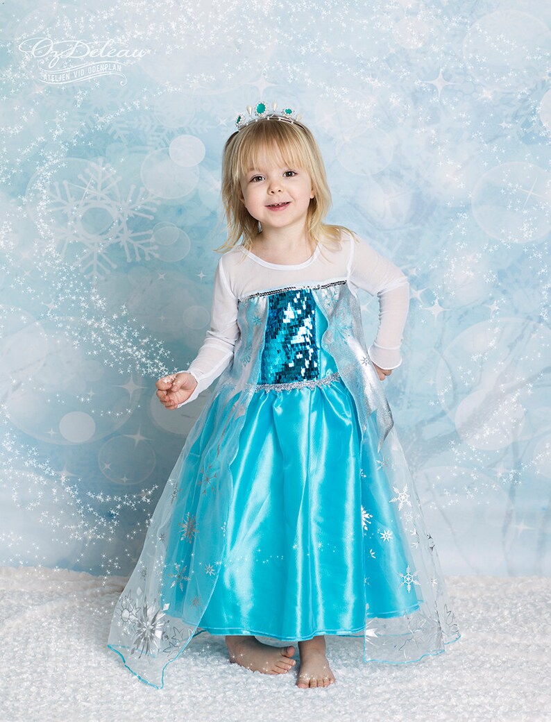 May include: A young girl wearing a blue and silver princess costume with a sparkly bodice and a sheer overlay. She is wearing a silver crown with green gems and has a light blue background with snowflakes.