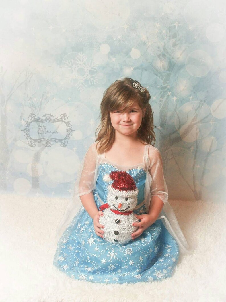 May include: A young girl wearing a blue and white dress with a snowflake pattern holds a snowman plush toy. The girl is wearing a tiara and has brown hair. The background is a light blue with snowflakes.