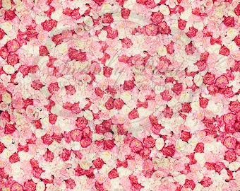 5ft x 5ft Vinyl Photography Backdrop / Bed of Roses Multi Colored / Valentines Day Backdrop