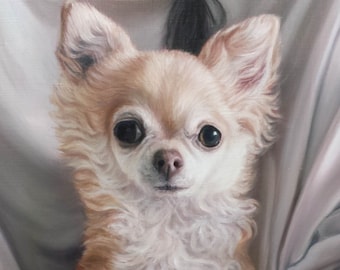 Custom Pet Portrait  PET PAINTING - Chihuahua - Oil Painting - Dog Portrait