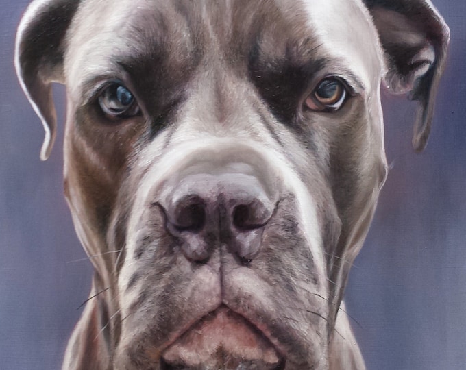 CUSTOM PET PORTRAIT - Pet Painting - Dog Painting - Oil Portrait - Pit Bull - Bulldog