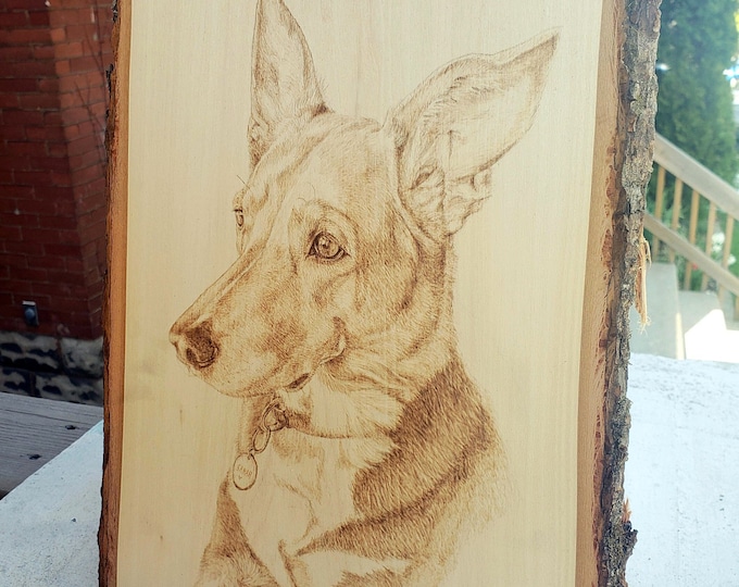 Custom Pyrograph Portrait - Pet Portrait - Woodburning Portrait - Dog Portrait - Shephard Cross - Lab Cross - Cat - Tabby Cat