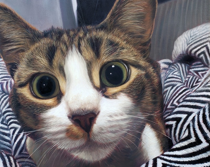 Custom Portrait, Pet Portrait, Cat Portrait, Cat Painting - Oil Painting, Oil on Canvas, Cat Lovers Gift