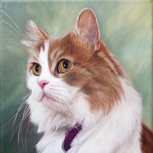K&ouml;nnte beinhalten: Nahaufnahme eines wei&szlig;en und braunen Katers mit gr&uuml;nen Augen. Die Katze tr&auml;gt ein violettes Halsband und schaut nach rechts. Der Hintergrund ist ein sanftes Gr&uuml;n.
