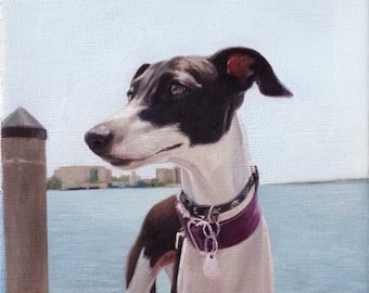 May include: A black and white Italian Greyhound dog with a purple collar and leash stands on a wooden dock. The dog is looking to the left of the image. The water is visible in the background.