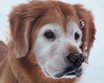 Dog Portrait - Custom Oil Painting - Handmade Pet Painting - Golden Retriever Art