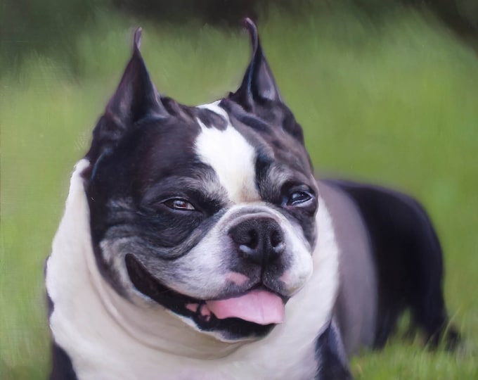 CUSTOM PET PORTRAIT - Pet Painting - Dog Portrait - Oil Painting - Custom Portrait of Pet - Lab - German Shepherd - Boston Terrier