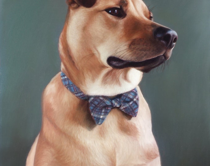 CUSTOM PET PORTRAIT - Oil Painting - Commissioned Painting - Dog Portrait - Pet Portrait
