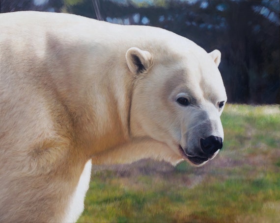 Custom Painting - Polar Bear Art - Wildlife Art - Oil Painting - Commissioned Art - Animal Painting - Polar Bear Painting