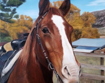 Custom Horse Painting - Horse Portrait - Oil Painting - Oil on Canvas