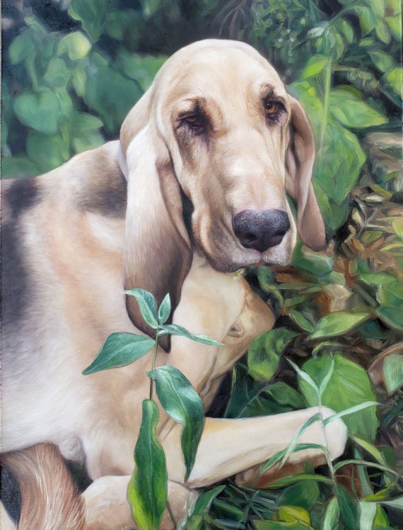 Custom Pet Portrait - Oil Painting -  Dog portrait - Dog Painting - Custom Pet Art