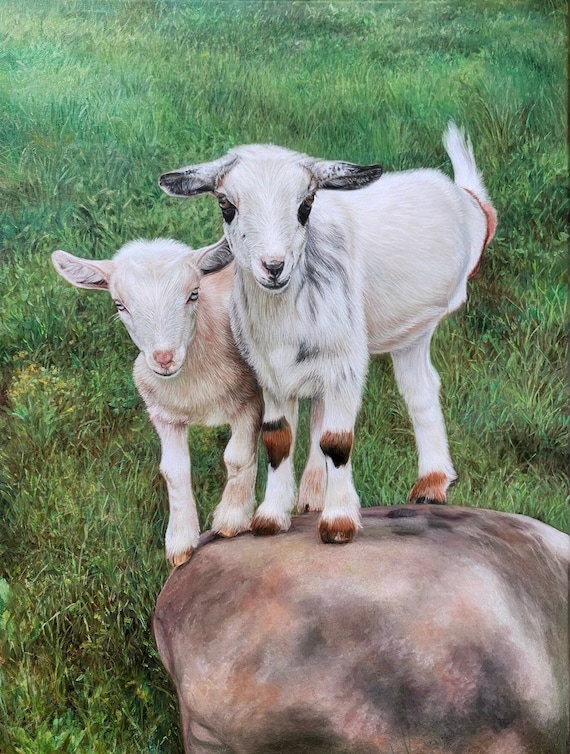 Custom Painting - Goat Painting - Commissioned Painting - Farm Animals - Oil Painting on Canvas