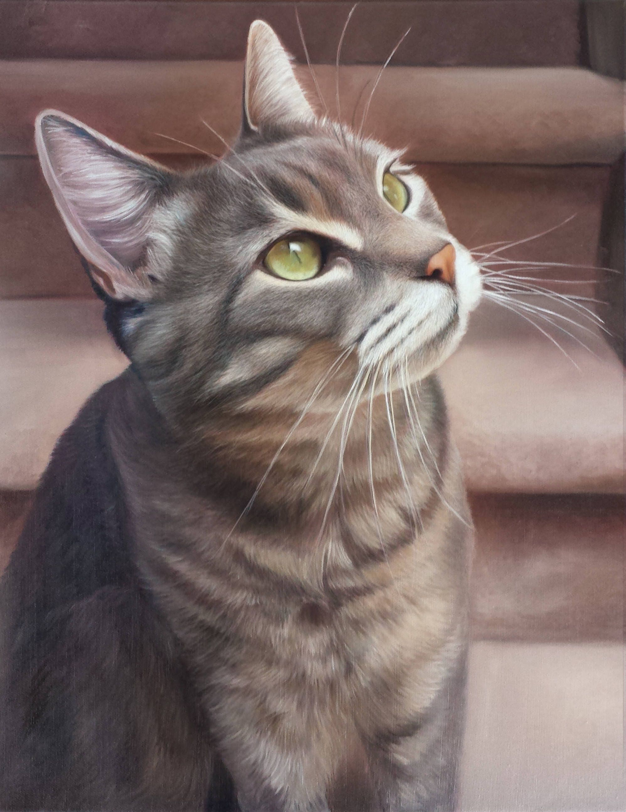  CAT  PORTRAIT Oil Painting  Pet Portrait Cat  Painting  