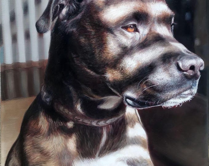 Custom Painting - Commissioned Painting - Dog Portrait - Oil Painting on Canvas