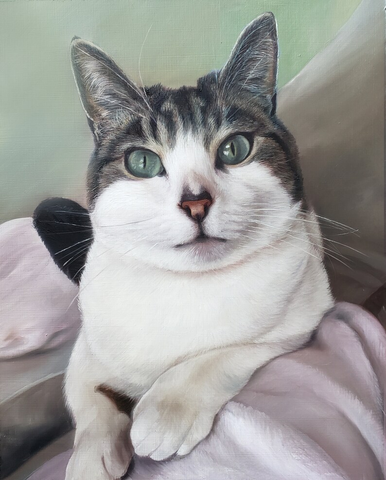 K&ouml;nnte beinhalten: Eine wei&szlig;-graue Tabby-Katze mit gr&uuml;nen Augen liegt auf einer rosa Decke. Die Katze schaut direkt auf den Betrachter.