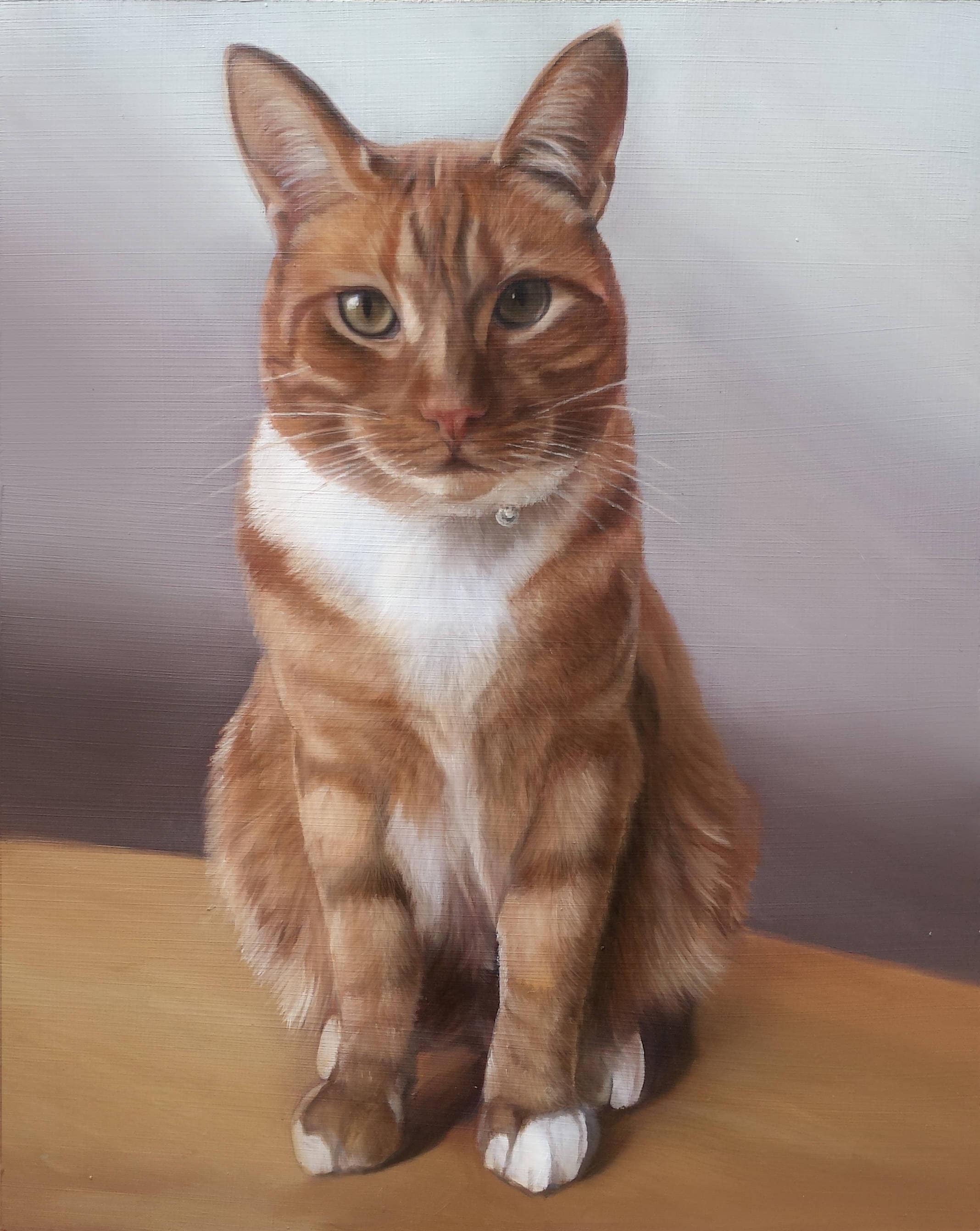 Download CAT PORTRAIT - Oil Painting - Pet Portrait - Cat Painting ...