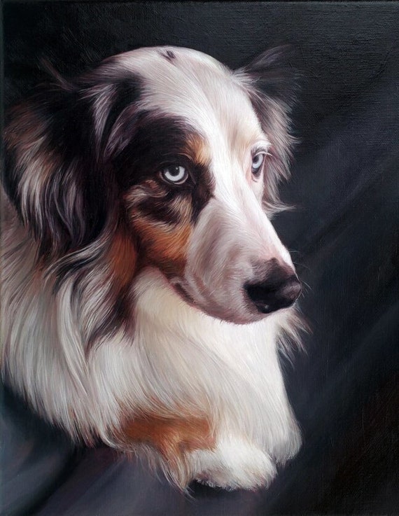 Custom Pet Portrait - Dog Portrait - Oil Painting - Commissioned Painting - Australian Shephard - Black Lab Painting