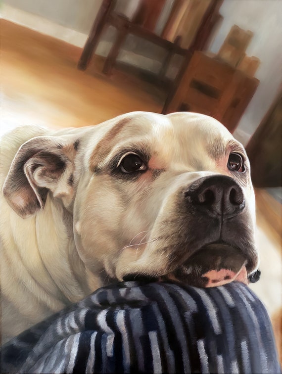 Custom PET PORTRAIT - Dog Painting - Bull Dog - Pit Bull - Terrier - Pet Oil Painting - Excellent Gift Idea