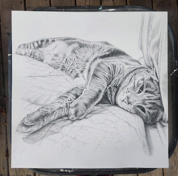 Custom Drawing of your Pet - Pet Portrait - Graphite pencil or Charcoal