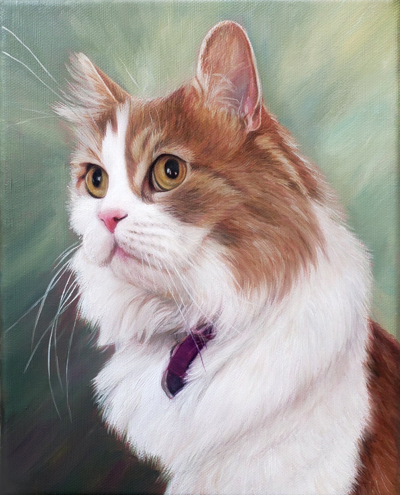 K&ouml;nnte beinhalten: Nahaufnahme eines wei&szlig;en und braunen Katers mit gr&uuml;nen Augen. Die Katze tr&auml;gt ein violettes Halsband und schaut nach rechts. Der Hintergrund ist ein sanftes Gr&uuml;n.