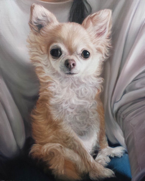 Custom Pet Portrait  PET PAINTING - Chihuahua - Oil Painting - Dog Portrait