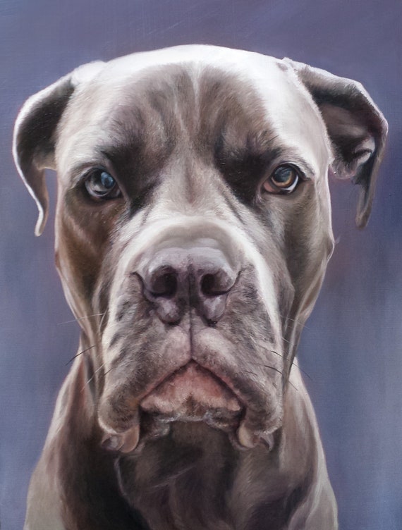 CUSTOM PET PORTRAIT - Pet Painting - Dog Painting - Oil Portrait - Pit Bull - Bulldog