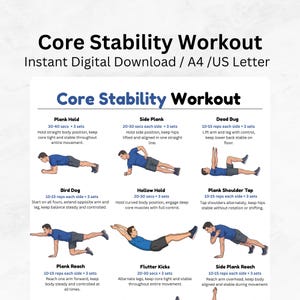 Peut inclure: Un guide d'entraînement numérique intitulé Core Stability Workout présentant neuf exercices illustrés, dont le gainage, la planche latérale, le dead bug, le bird dog, le hollow hold, le tap d'épaule, le plank reach, les battements et le side plank reach.