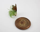 Vintage Ornate Brass Medallion - Found Object Brass Architectural Detail