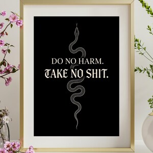 Puede incluir: Impresión artística enmarcada con fondo negro, una ilustración de serpiente blanca y el texto "DO NO HARM. TAKE NO SHIT." La impresión está en un marco dorado y se exhibe con jarrones de flores rosas y verdes.