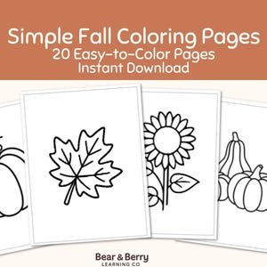 May include: A set of 20 Simple Fall Coloring Pages with the text Simple Fall Coloring Pages 20 Easy-to-Color Pages Instant Download. The pages feature black and white line art of a pumpkin, a maple leaf, a sunflower, and gourds.