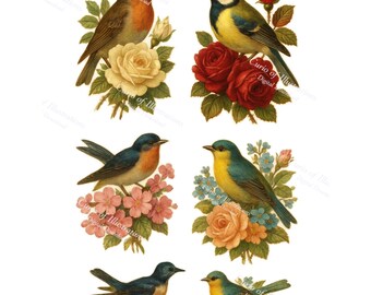 Könnte beinhalten: Sechs Illustrationen im Vintage-Stil von Vögeln, die auf Blumenarrangements sitzen. Die Vögel weisen eine Vielzahl von Farben auf, darunter Blau, Gelb, Orange und Braun. Die Blumen umfassen Rosen und andere Blüten in Rot-, Gelb- und Rosatönen.