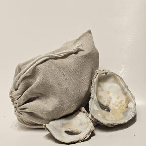 May include: A beige drawstring bag and two oyster shells are displayed on a white surface. The shells are open, revealing the interior. The bag is made of a textured fabric.