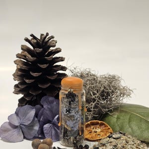 Road Opener Spell Jar, Ritual Manifestation with Historic Savannah, GA Ingredients Witchcraft Spellwork