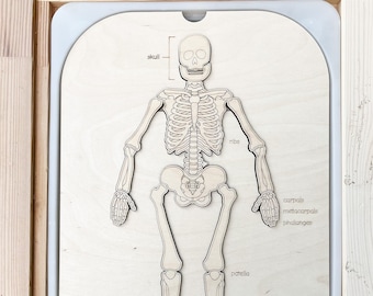 Skeleton Puzzle FLISAT / TROFAST Insert Tray | Anatomy Lesson | Sensory Play Skeleton | Bone Puzzle | Montessori | Human Body lessons