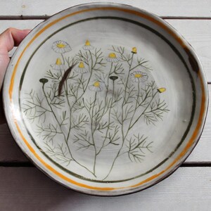 May include: A ceramic plate with a hand-painted floral design. The plate features a white base with a detailed illustration of chamomile flowers and green stems. The rim has a brown edge with a yellow and green stripe.