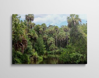Turkey Creek | Art mural nature | Photographie de Floride | Décoration pour la maison et le bureau | Impression sur toile résistante à la décoloration et tendue à la main