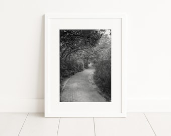 Brick Path encadrée en papier mat | Art mural Floride | Photographie en perspective | Décoration pour la maison et le bureau