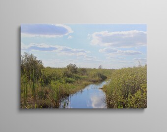 Lacs Blue Cypress No. 2 | Toile ou poster en papier lustré sans cadre / encadré | Art mural Floride | Photographie des zones humides