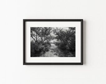 Malabar Scrub Sanctuary Trail Poster encadré en papier mat | Art mural Floride | Photographie de nature | Décoration pour la maison et le bureau