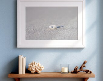 Poster coquillage n°1 en papier lustré sans cadre ou encadré mat | Art mural côtier | Photographie de paysage marin | Décoration pour la maison et le bureau