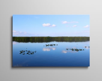 Blue Cypress Lake n° 1 | Toile ou poster en papier lustré sans cadre / encadré | Art mural Floride | Photographie des zones humides