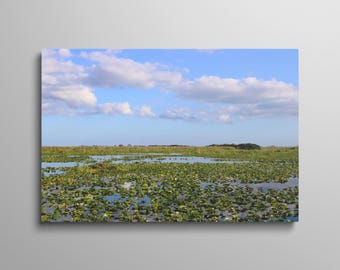 Blue Cypress Lake n° 3 | Poster papier lustré sans cadre ou encadré | ou oeuvre d'art murale Floride sur toile | Photographie des zones humides