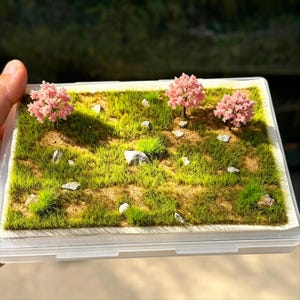 Op de afbeelding: Miniatuur diorama van een graslandschap met drie roze bloeiende bomen en kleine rotsen. De scène is geplaatst in een doorzichtige plastic container, waardoor een miniatuur tuintafereel ontstaat.